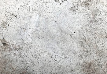 texture 152